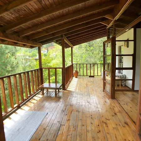 Gæstehus Jungle House *