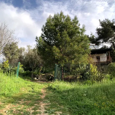 Gæstehus Jungle House *
