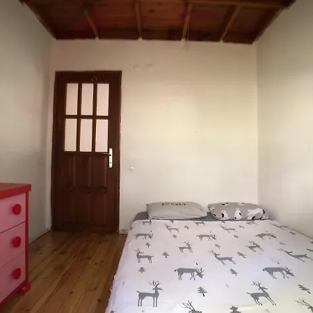 Jungle House Gæstehus *