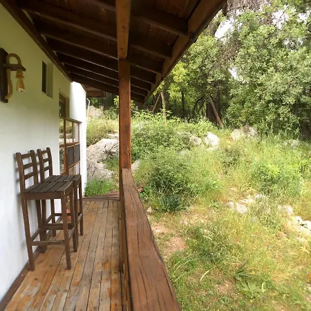 Jungle House *