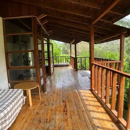 招待所 Jungle House