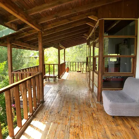 Jungle House بيت ضيافة *