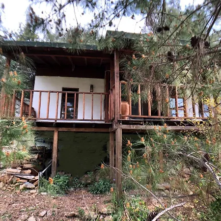 بيت ضيافة Jungle House *