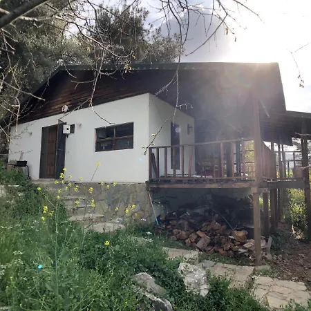 Jungle House بيت ضيافة *