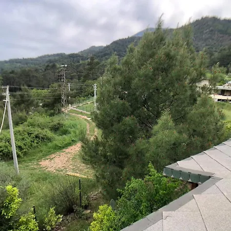 بيت ضيافة Jungle House *