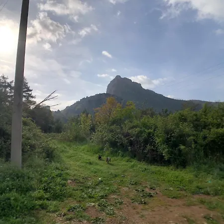 بيت ضيافة Jungle House *